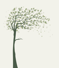 Wall Mural - Tree with leaves