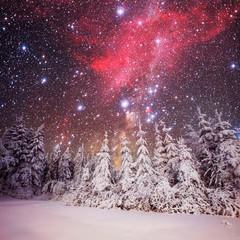 Canvas Print - Dairy Star Trek in the winter woods. background with some soft h