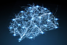 Digital X-ray Human Brain 3D Rendering