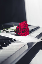 Grand Piano With Red Rose
