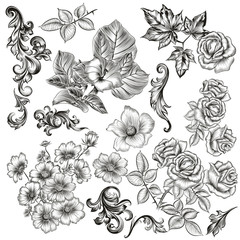 Fototapete - Big collection of vector flowers and plants drawn in old style