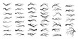 vector set dry tree branches