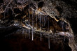Glowworm cave, Waipu cave, New Zeland
