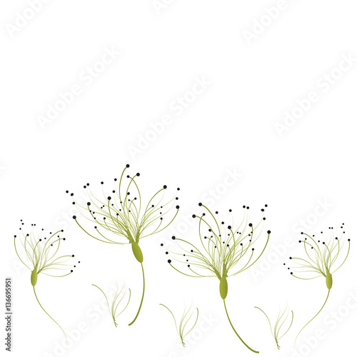 beautiful flowers Stock Vector | Adobe Stock