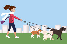Girl Walking With Dogs Vector Cartoon