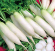 White daikon radishes