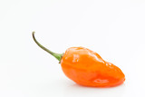 Fototapeta Perspektywa 3d - Orange habanero pepper isolated white background.