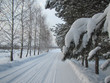 Russian Winter landscape with snow