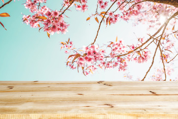 Wall Mural - top of wood empty ready for your product and food display or montage with pink cherry blossom flower