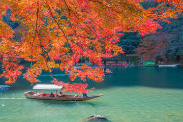 Wall Mural - 京都　嵐山の紅葉