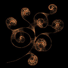 Gold Twirls - Vector Illustration 