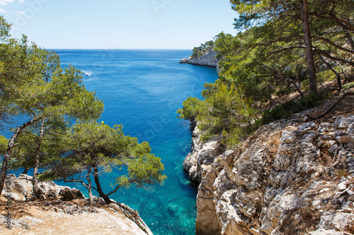 Fotomural Calanques of Port Pin in Cassis, Provence, France