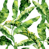 Fototapeta Sypialnia - Seamless watercolor illustration of tropical leaves, dense jungle. Pattern with tropic summertime motif may be used as background texture, wrapping paper, textile,wallpaper design. Banana palm leaves