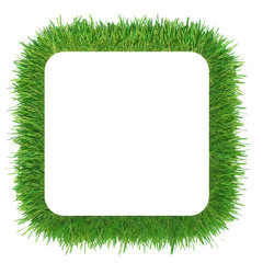 Wall Mural - Green grass frame with copy-space. Square border template isolated on white background. Abstract plant texture. Organic design 3d rendering