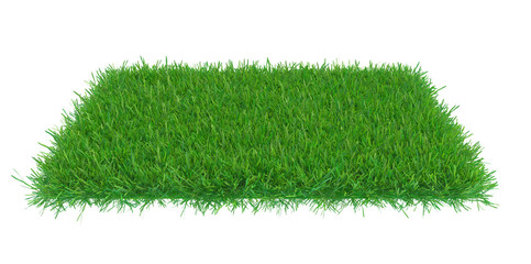 Sticker - green grass field background. 3d rendering nature