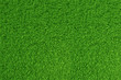 Green grass. natural background texture. high resolution. 3d rendering