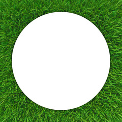 Wall Mural - Grass frame. White circle copy space. 3d rendering