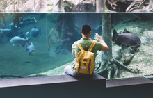 Hipster With Yellow Backpack, Map, Phone. View From Back Tourist Traveler On Background Blue Sea Aquarium. Person Hiker In Oceanarium Museum Barcelona And Photographer Pictures Fish Smartphone Mockup