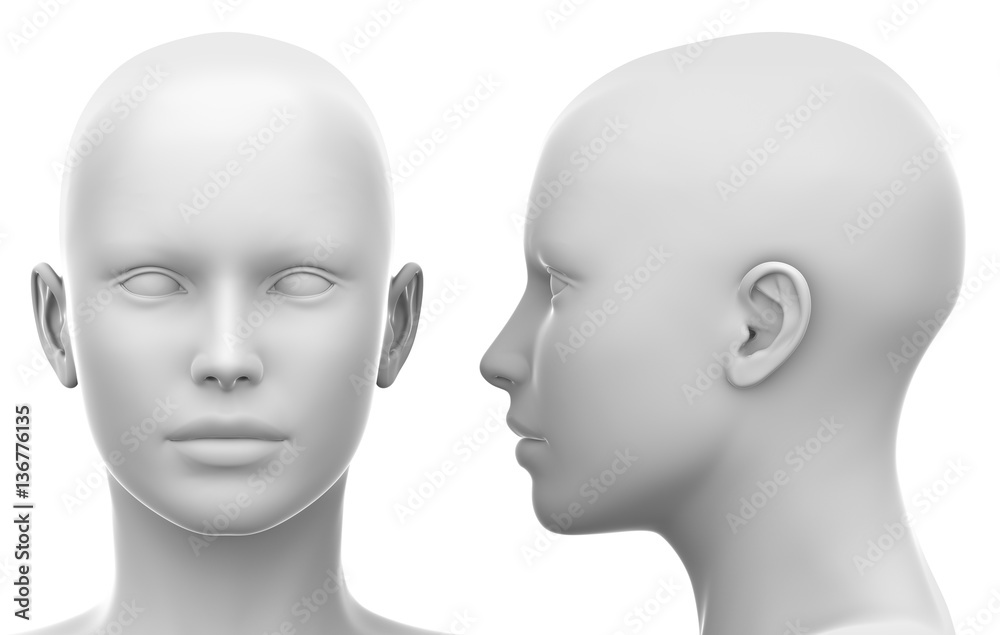 Blank White Female Head - Side and Front view - obrazy, fototapety, plakaty 