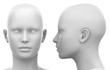 Blank White Female Head - Side and Front view