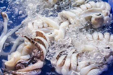 Fresh Squid in market background.