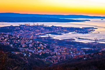 Wall Mural - Aerial evening view of Trieste