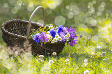 Wildflowers In A Basket