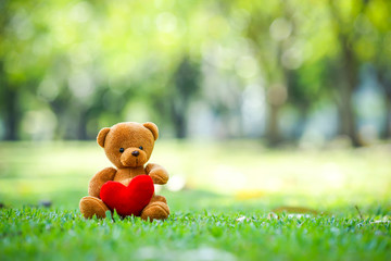 bear doll and red heart on the ground