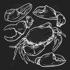 Crab outline on black background. Claw Crab doodle vector illust