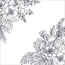 Floral Backgrounds With Hand Drawn Flowers And Plants