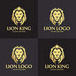 Lion king logo design template. Lion head logo. Vector illustration