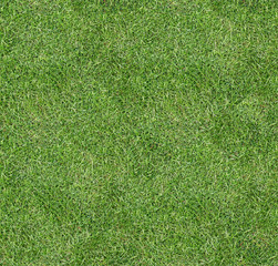 Seamless square green grass texture.