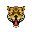 Jaguar head isolated cartoon mascot design