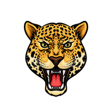 Jaguar Head Isolated Cartoon Mascot Design