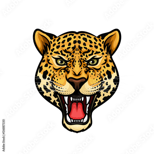 Photographie Jaguar head isolated cartoon mascot design