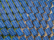 Top view of Solar panels (solar cell) in solar farm