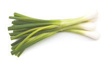 Green Onion Isolated