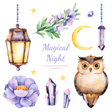 Handpainted Watercolor Flowers,leaves,moon And Stars,night Lamp,crystals And Cute Owl.12 Magic Clipart Of Peony,crystals,bird,branch..Can Be Used For Your Project,greeting Cards,wedding,Birthday Cards