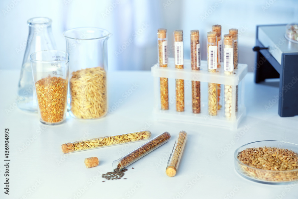 Cereals in laboratory glassware on table