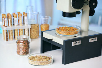 Poster - Cereals in laboratory glassware on table