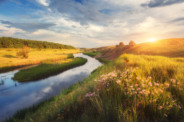 Wall Mural - Summer landscape at sunset. Flowers, green grass at the river against rocks and blue sky with clouds. Travel and nature background. River in the beautiful steppe. Colorful evening. Park