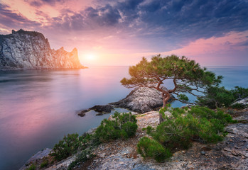 Wall Mural - Tree growing from the rock against sea, mountains and colorful cloudy sky with sunlight at twilight in summer. Beautiful mountain landscape at sunset. Nature and travel. Purple sky. Blurred clouds