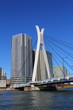 Chuo Ohashi is a bridge over the Sumida River, located in Chuo-ku, Tokyo.
Structural type Two-span continuous steel diagonal bridge
Bridge length 210.7 m
Width 25.0 m
Completion August 26, 1993