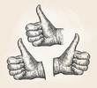 Hand, gesture thumbs up. Vintage sketch vector illustration