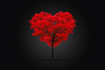 Wall Mural - red heart-shaped tree isolated on black