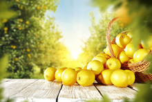 Lemon Fruits 