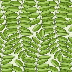 Canvas Print - Vector Seamless pattern with acacia leaves. Spring background for packaging, textile and fabric design