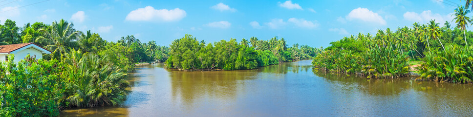 Wall Mural - Panorama of the tropical river