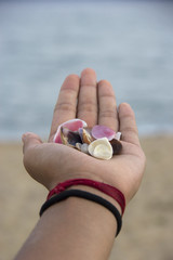 Beach shells on palm of boy hand. Beautiful beach in the backgro