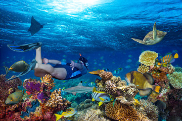 Wall Mural - young male snorkler exploring colorful underwater world coral reef with many fishes sea turtle shark snorkling background